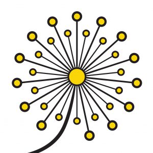 Network 