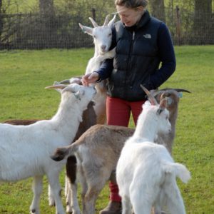 Image of a woman standing surrounded by goats