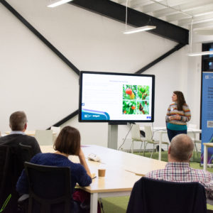 Seated delegates in an event space
