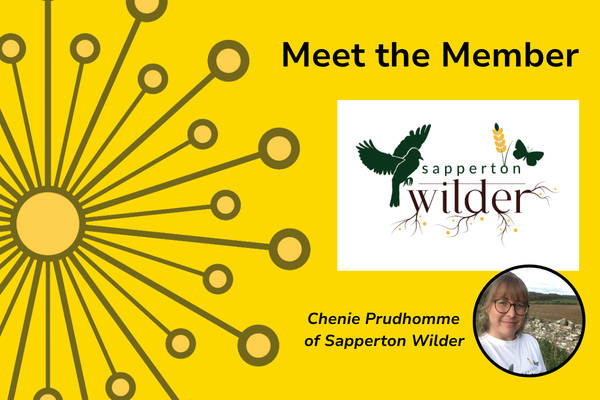 Meet the member banner