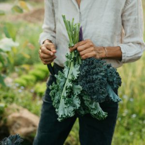 Person holding kale