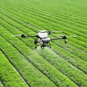 Drone above a field